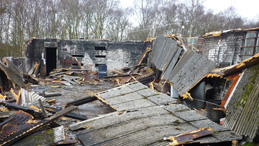 Pre Demolition survey